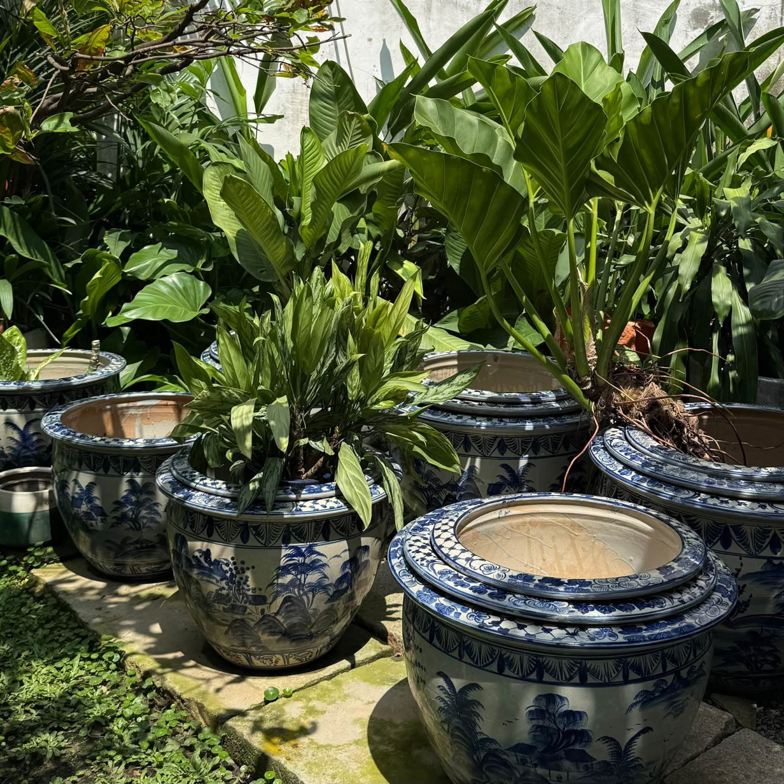 Blue and white porcelain garden pots