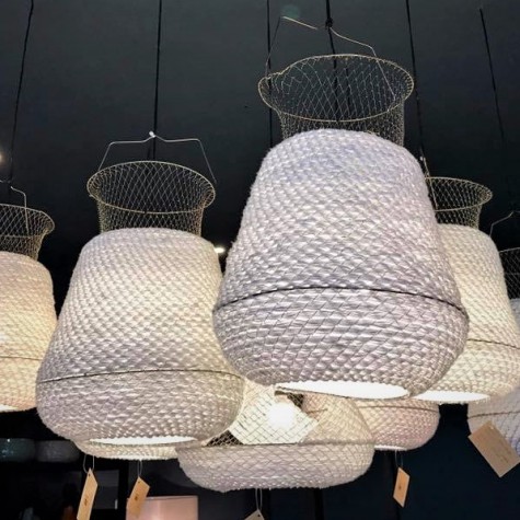 Fish nest ceiling light